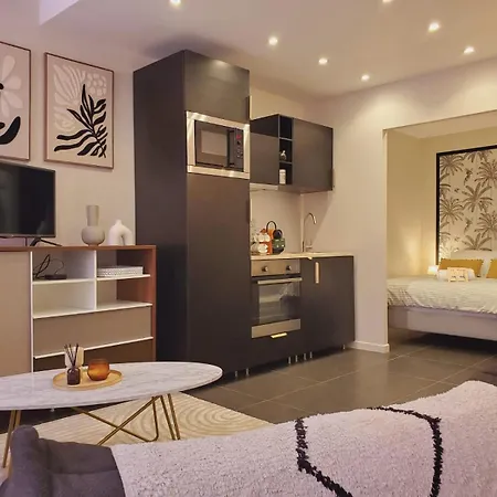 アパート Le Petit Amandier Clim Wifi Centre